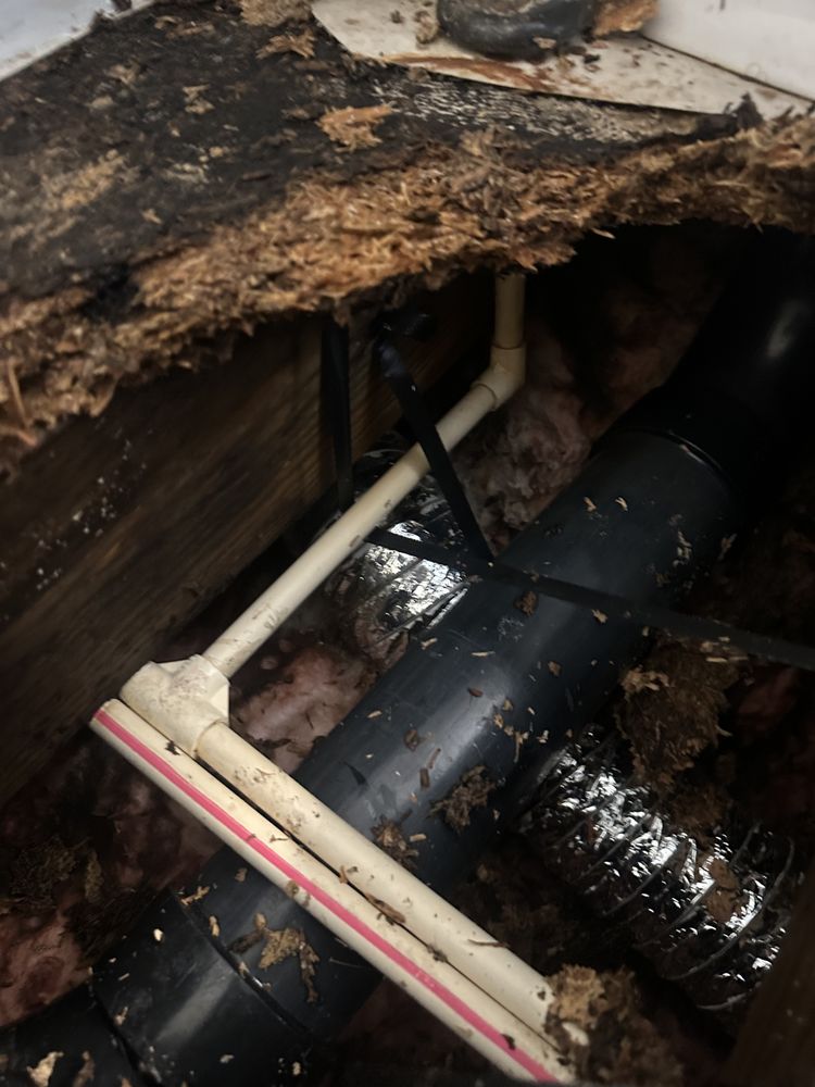 Slide of Chacha S inc