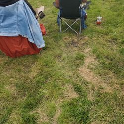 Hyde Park Jazz Festival - Muddy