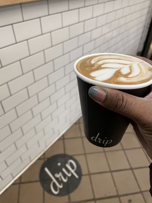 drip coffee makers by null