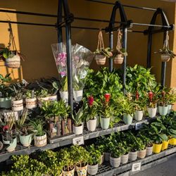 Sprouts Farmers Market