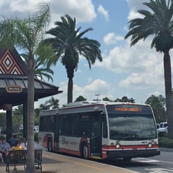 Disney's Polynesian Resort Bus Stop