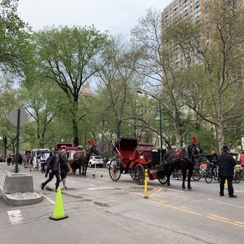 Central Park Conservancy - Horse carriage - Parks Near Me - New York, New York Central Park Conservancy - Horse carriage - Parks Near Me - New York, New York