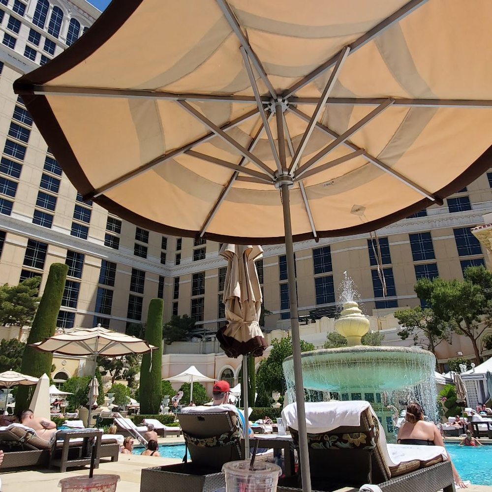 Bellagio Pool - Cypress Pool - Swimming Pools Near Me - Las Vegas, Nevada Bellagio Pool - Cypress Pool - Swimming Pools Near Me - Las Vegas, Nevada