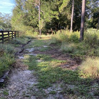 Oakland Nature Preserve - Parks Near Me - Oakland, Florida Oakland Nature Preserve - Parks Near Me - Oakland, Florida