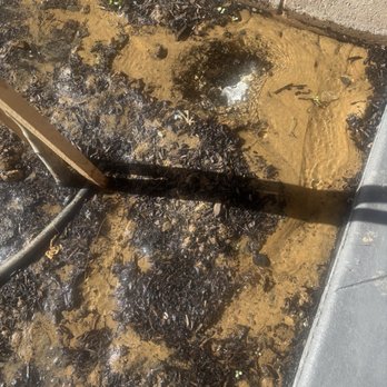 D&C Landscaping - Landscaping Near Me D&C Landscaping - Landscaping Near Me