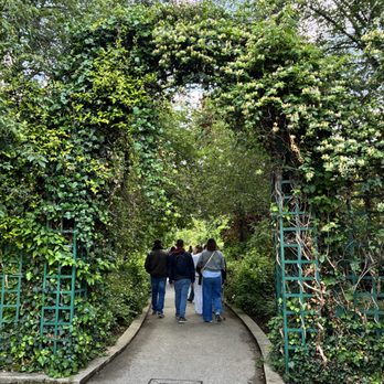 Coulée Verte René-Dumont - Charming elevated walkway laden with greenery. - Parks Near Me - Paris, 75
