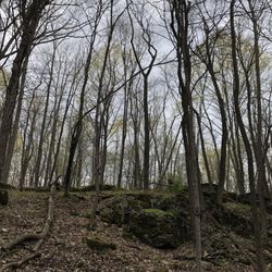 Ledge View Nature Center - View in Spring