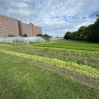 Ohio City Farm - CSA Near Me - Cleveland, Ohio Ohio City Farm - CSA Near Me - Cleveland, Ohio