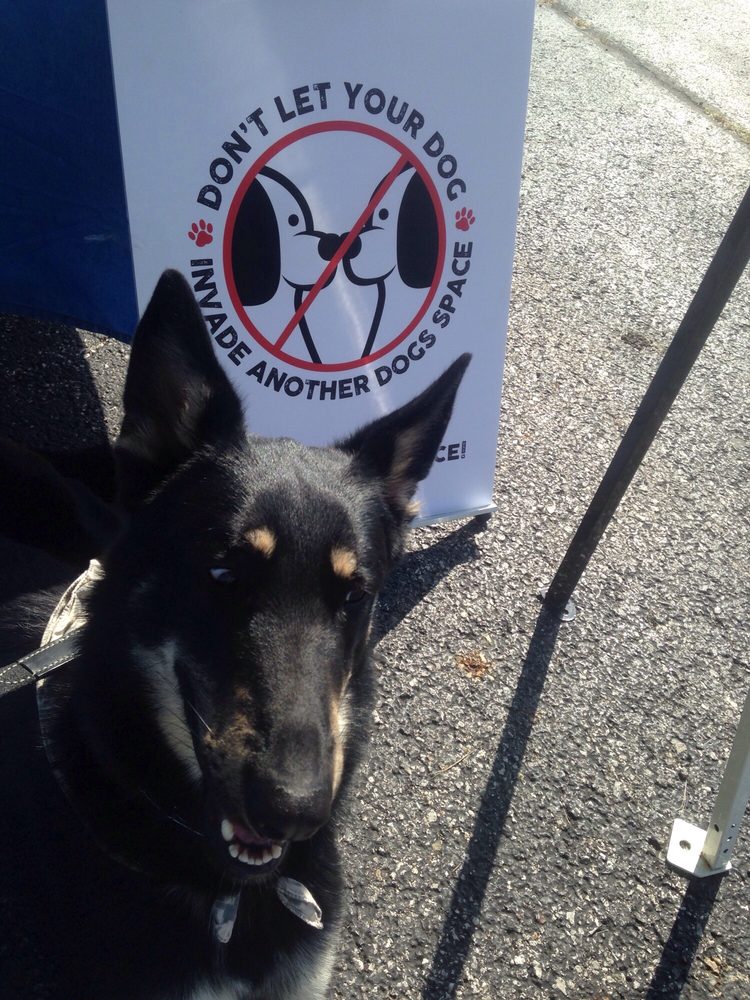 QUAD CITY DOG OBEDIENCE CLUB & SCHOOL Updated July 2024 804 2nd Ave