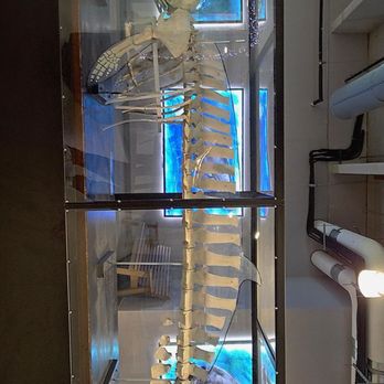 Clearwater Marine Aquarium - Aquariums Near Me - Clearwater, Florida