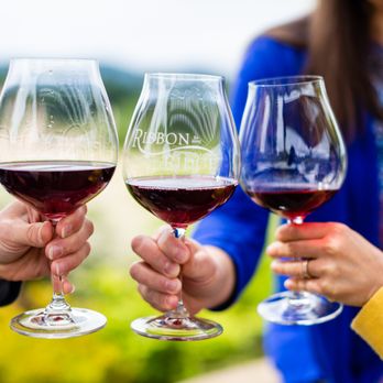 Ayres Vineyard - a group of people holding wine glasses - Wineries Near Me - Newberg, Oregon