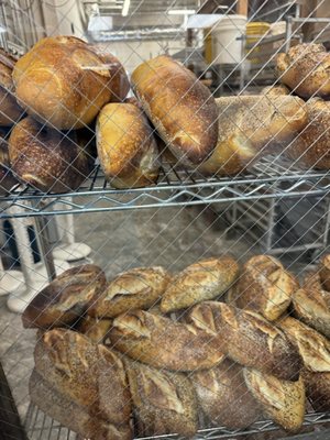 Grateful Bread Company by null