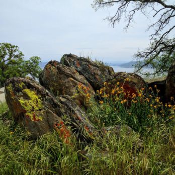 Eastman Lake - Overlook area 3.18.17 - Lakes Near Me - Raymond, California Eastman Lake - Overlook area 3.18.17 - Lakes Near Me - Raymond, California