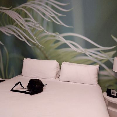 President Hotel South Beach by null
