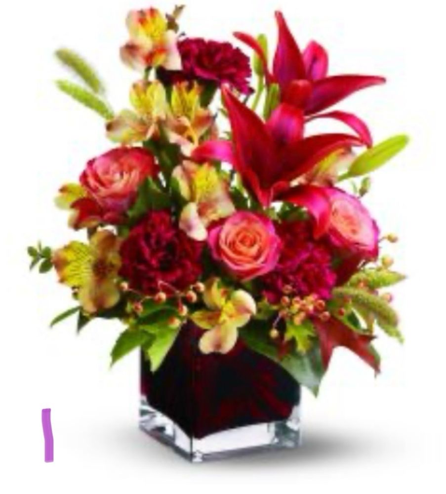 Updated August 2024 13 Reviews 2764 N Green