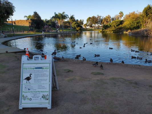 Polliwog Park by null