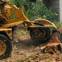 Bautista Landscaping