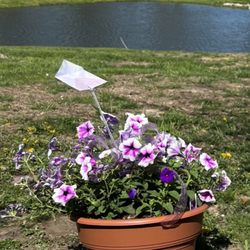 Ostrander Flowers & Greenhouses
