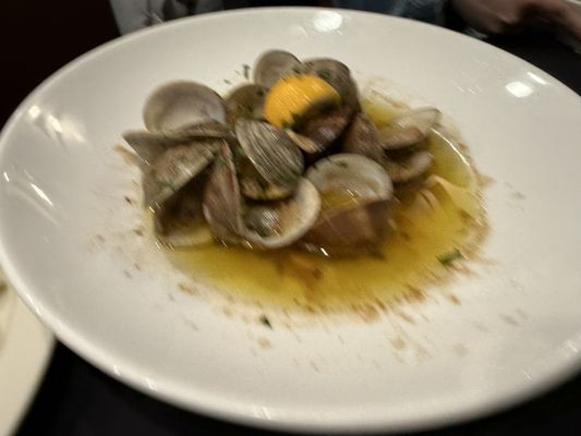 Alessio's Seafood Grille by null