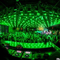 The Grand Boston - The Grand nightlife