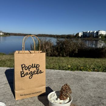 PopUp Bagels - Bagels Near Me - Jacksonville, Florida PopUp Bagels - Bagels Near Me - Jacksonville, Florida