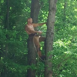 Acorn Tree & Crane Service