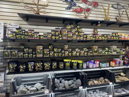 The Fish Guys by null