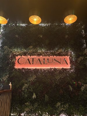 CATALUNA JAX by null