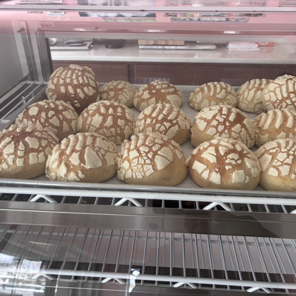 Condori's Bakery - Bakeries Near Me - Bridgeport, Connecticut