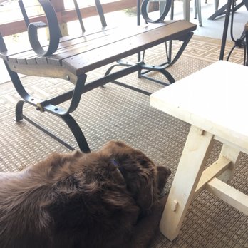 Blue Haven Bee Company - Bailey enjoying the patio - Wine Tasting Room Near Me - Canon, Georgia Blue Haven Bee Company - Bailey enjoying the patio - Wine Tasting Room Near Me - Canon, Georgia