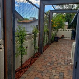 Irrigation, structure and pavers Irrigation, structure and pavers