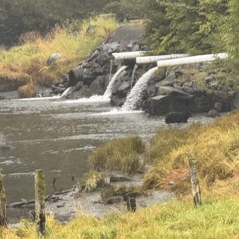 5 Star Tours - Whale Watching Tours Near Me - Ketchikan, Alaska