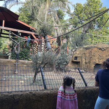 Wildlife Learning Center - Zoos Near Me - Sylmar, California