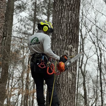 FJ Arbor Care - In the trees! - Tree Services Near Me - Atlanta, Georgia FJ Arbor Care - In the trees! - Tree Services Near Me - Atlanta, Georgia