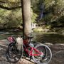 Photo of Tsali Cycles