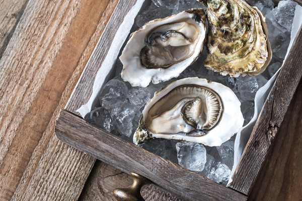 1818 Offshore by null