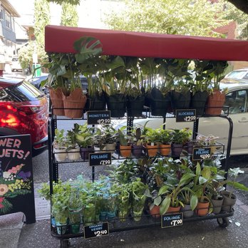 Trader Joe's - Grocery Near Me - Portland, Oregon Trader Joe's - Grocery Near Me - Portland, Oregon