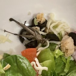 Blackjack Pizza & Salads