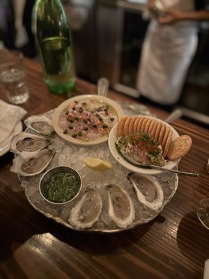 Found Oyster by null