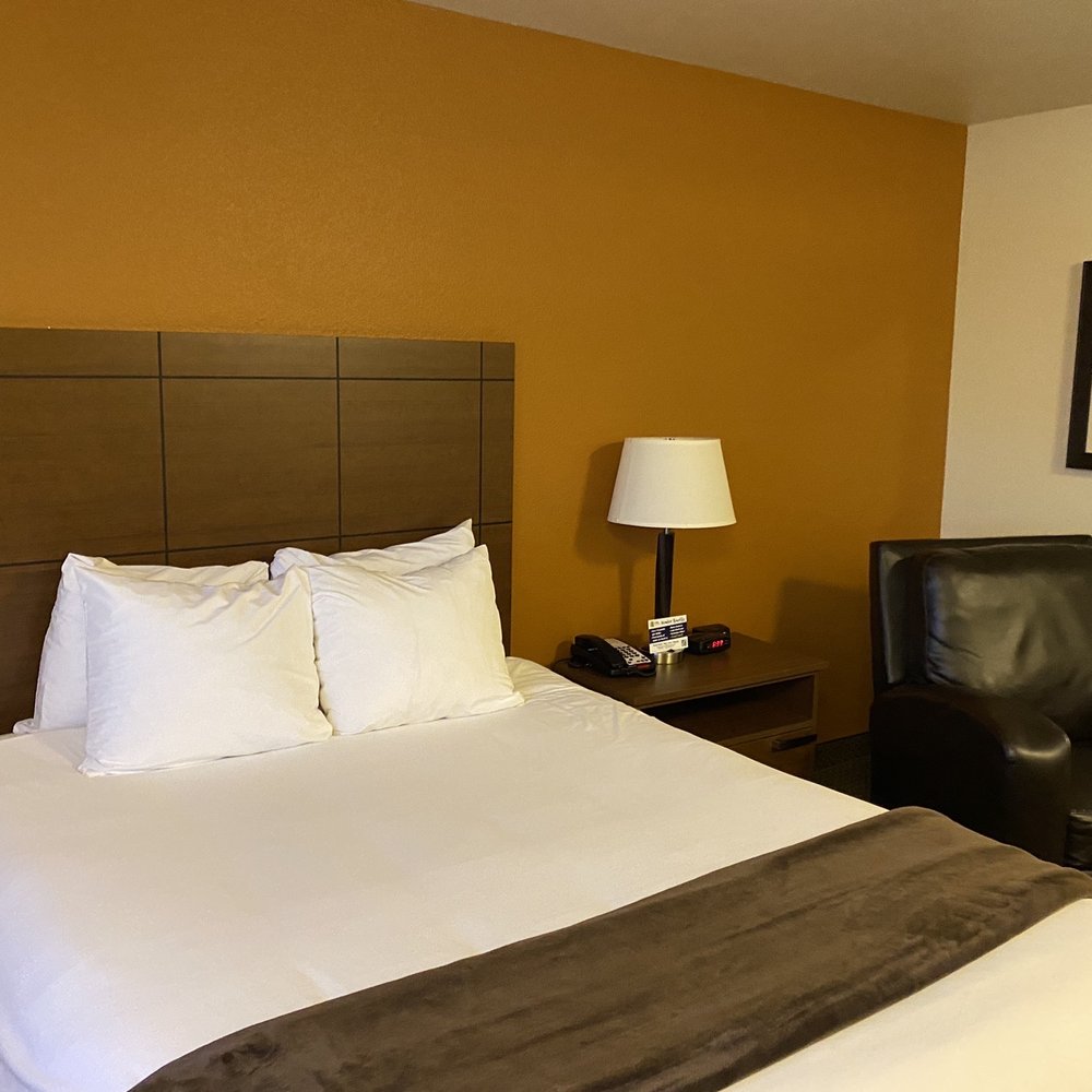 One queen bed One queen bed