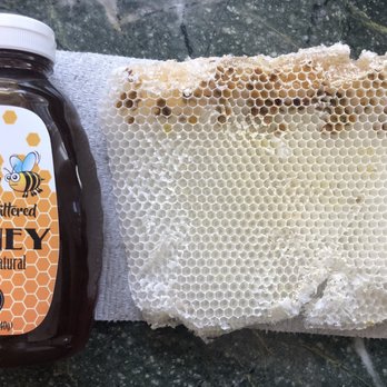 Aliza's Bee Removal - Bottle if honey and honeycomb from my chimney. Cool "show and tell" item! - Pest Control Near Me - Poway, California Aliza's Bee Removal - Bottle if honey and honeycomb from my chimney. Cool "show and tell" item! - Pest Control Near Me - Poway, California