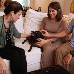 Lap of Love - Lap of Love - Westchester County