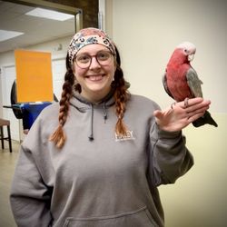 Haley Veterinary Practice