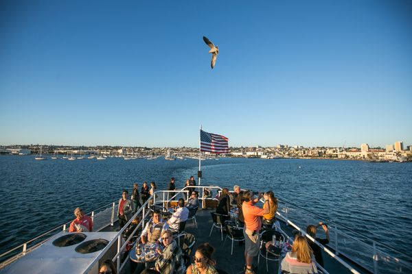City Cruises by null