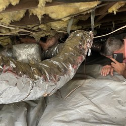 MJNB Properties - 4th inspection- broken beams and no support