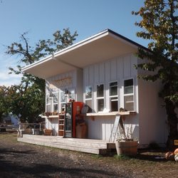 Sunset Orchard - 11/2/25