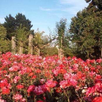 The Regent's Park - Parks Near Me - London, XGL