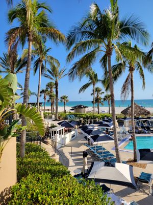 The Ritz-Carlton, Sarasota by null
