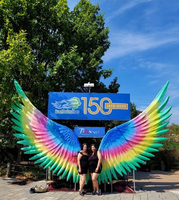 The Buffalo Zoo by null