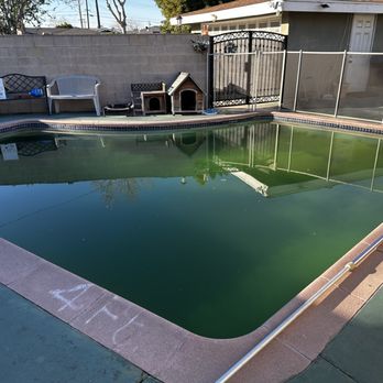 Bethesda Pool Service - Before Clean Up. - Pool Cleaners Near Me Bethesda Pool Service - Before Clean Up. - Pool Cleaners Near Me